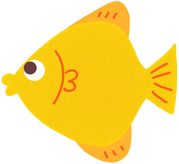 fish on a white background