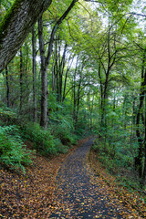 Autumn view of the Luitpold park near Olympic Park in Munich, Bavaria, Germany