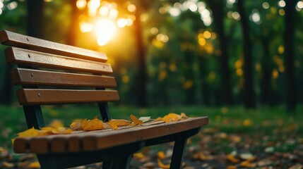 Wooden bench autumn leaves sunset bokeh. Nature meditation advertising