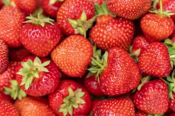 Ripened Red Strawberries Closeup on Sunny Day. Fresh Fruit Background Concept. Top view