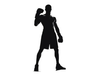 a silhouette of a man wearing boxing gloves