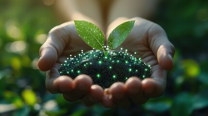 Green Technology:  Growing a Sustainable Future in Your Hands