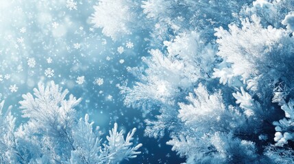 Obraz premium Snow Flakes Falling