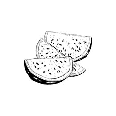 Abstract fruits vector black ink . Modern trendyи minimal style. Exotic Healthy Food. Hand drawn design for wallpaper, wall decor, print, postcard, cover, template, banner.
