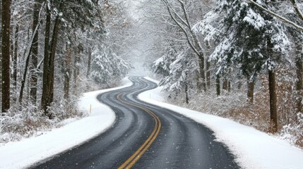 Fototapeta premium Road in Winter - Snow-covered road lined with trees, capturing the quiet beauty of winter landscapes.