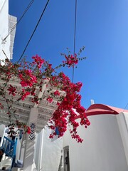 Paysage de Mykonos