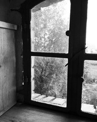 View from window Brandenburg country life