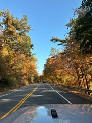 Obraz premium road in autumn forest