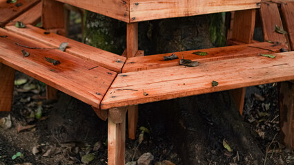 Naklejka premium A wooden bench encircles a tree trunk in a lush green park. The bench is made of weathered wood planks and offers a cozy spot to sit and enjoy the outdoors.