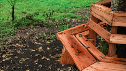 Naklejka premium A wooden bench encircles a tree trunk in a lush green park. The bench is made of weathered wood planks and offers a cozy spot to sit and enjoy the outdoors.