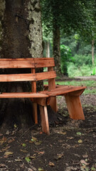 Naklejka premium A wooden bench encircles a tree trunk in a lush green park. The bench is made of weathered wood planks and offers a cozy spot to sit and enjoy the outdoors.
