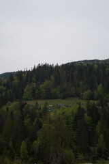authentic wood house in the mountains