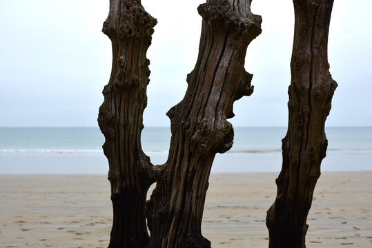 Plage de Saint-Malo et brise-lames