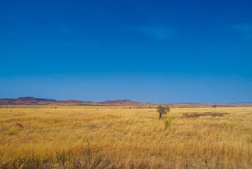 Obraz premium Madagaskar