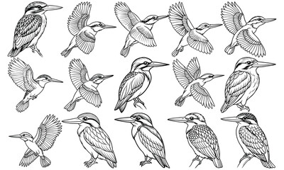 Charming Kingfisher Coloring Page for Children, Fun Line Art of a Playful Kingfisher, Perfect for Activity Books and Toddler Engagement. Isolated on White Background