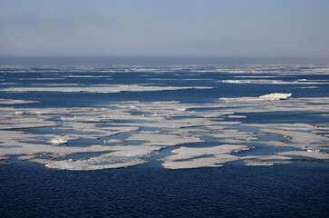 Pack ice north of Svalbard