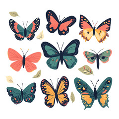 Obraz premium Colorful Butterfly Collection