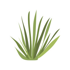 Desert green grass in flat design. Wilderness herbal tuft for dry landscape. Vector illustration isolated.