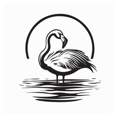 Flamingo swimming in the lake stock image vector isolated on white background.