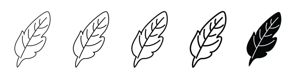 Set 5 feather icons 1 unexpanded vector 1 silhouette, Bird feather icon set, flat style feathers vector collection, pen icon, black quill feather silhouette