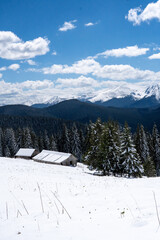 Fototapeta premium winter in the mountains ukraine