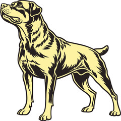vector illustration of Rottweiler Dog 