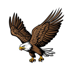 Obraz premium Bald Eagle in Flight