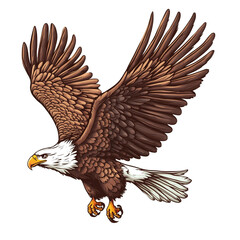 Obraz premium Majestic Bald Eagle in Flight