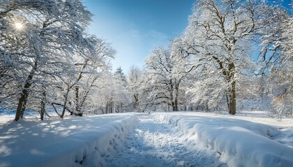 Fototapeta premium Engage with the community through winter sports events. 