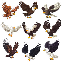 Fototapeta premium Nine Different Bald Eagles