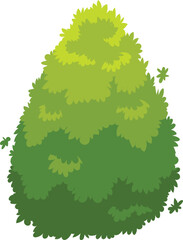 Lush green bush growing in a conical shape, representing nature, gardening, and landscaping, with its vibrant foliage creating a visually appealing element