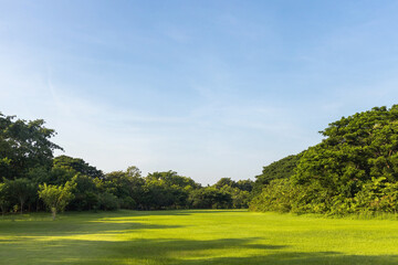 Scenic view of the park with green grass field and a blue sky in the evening. Beautiful green park