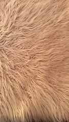 texture of the fur