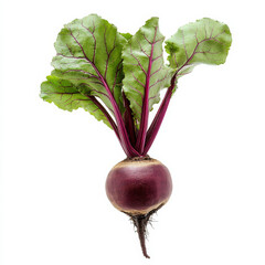 A freshly picked beetroot with leaves, isolated on a white background, highlighting its earthy color and fresh appeal