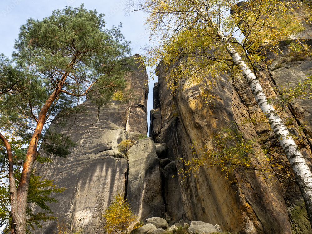 Wall mural Elbsandsteingebirge