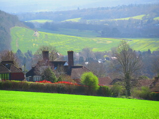 Landscape in Surrey, England 
