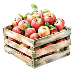 Freshly Picked Apples in a Wooden Crate