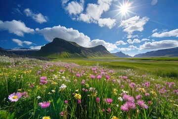 Flowers on mountain land landscape grassland.