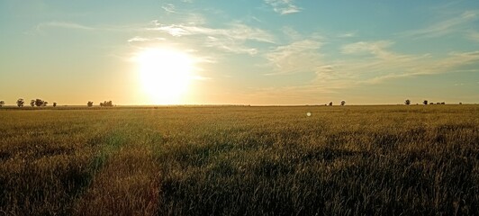 Fototapeta premium Vivencias campera 