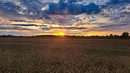 Multicolored sunset on an autumn meadow