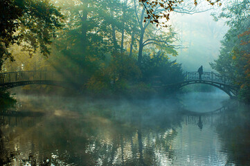 Park Pszczyna, jesienny mglisty krajobraz. Promienie słońca o poranku © Iwona