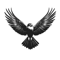 Obraz premium A black and white illustration of a hawk in flight with its wings spread.