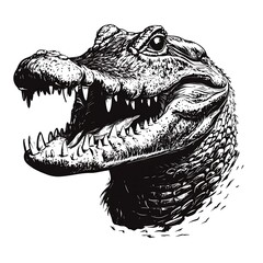 Naklejka premium Close-up black and white illustration of an alligator's head with its mouth open, revealing sharp teeth.