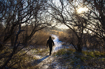 A traveler walks down a snow-covered path, surrounded by trees whose branches are dusted with snow....