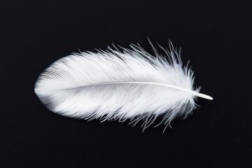 Obraz premium Macro of a white feather on a dark, earthy background, capturing delicate texture, White feather with dark background macro, Soft and contrasting