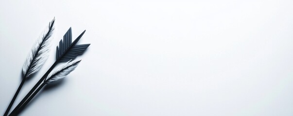 Artistic arrangement of black feathers on a white isolated background.