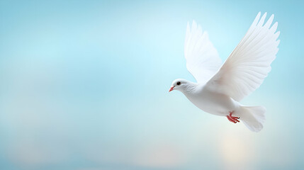 A white peace dove flying against a blue sky above a middle east city