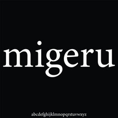 luxury and elegant alphabet font vector