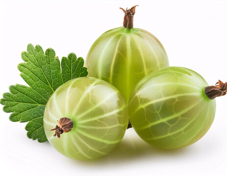 Three ripe green gooseberries with a leaf, isolated on a white background