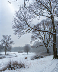 A serene winter landscape with bare trees and a snow-covered field under a grey sky